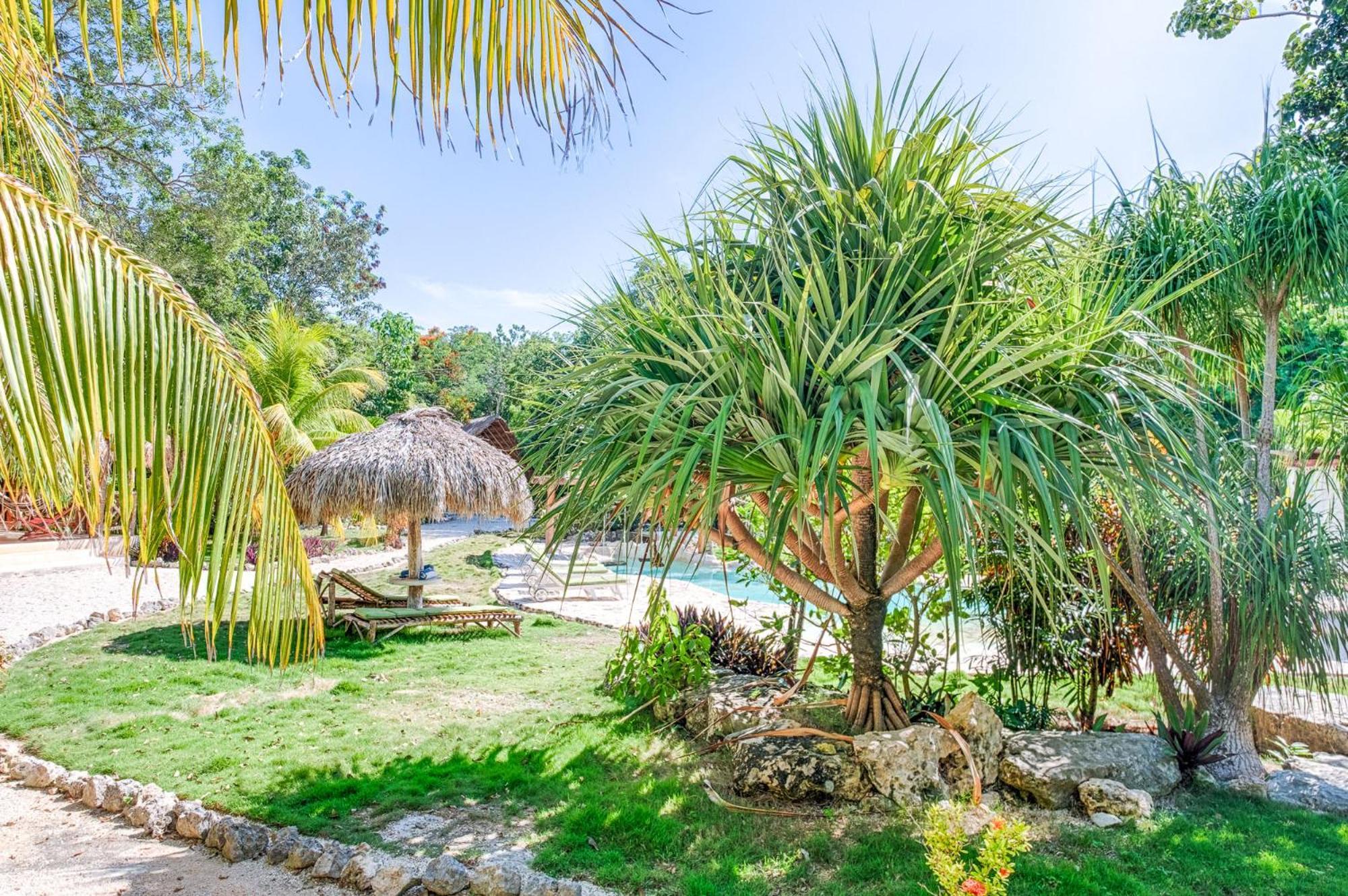 אקומל Villa Morena Boutique Hotel Ecoliving מראה חיצוני תמונה
